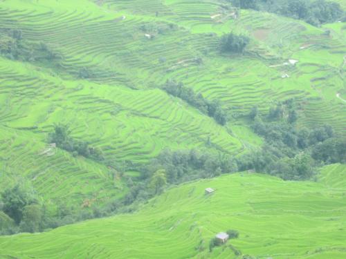 Yuanyang