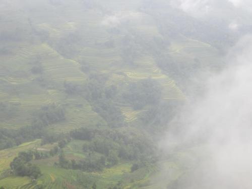Yuanyang